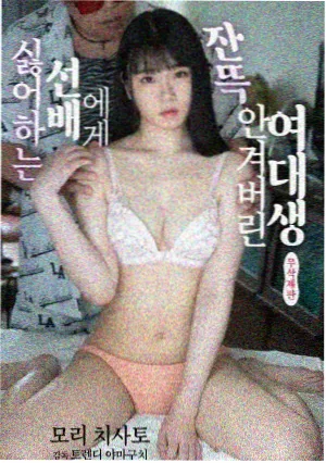 用户夜航船头像